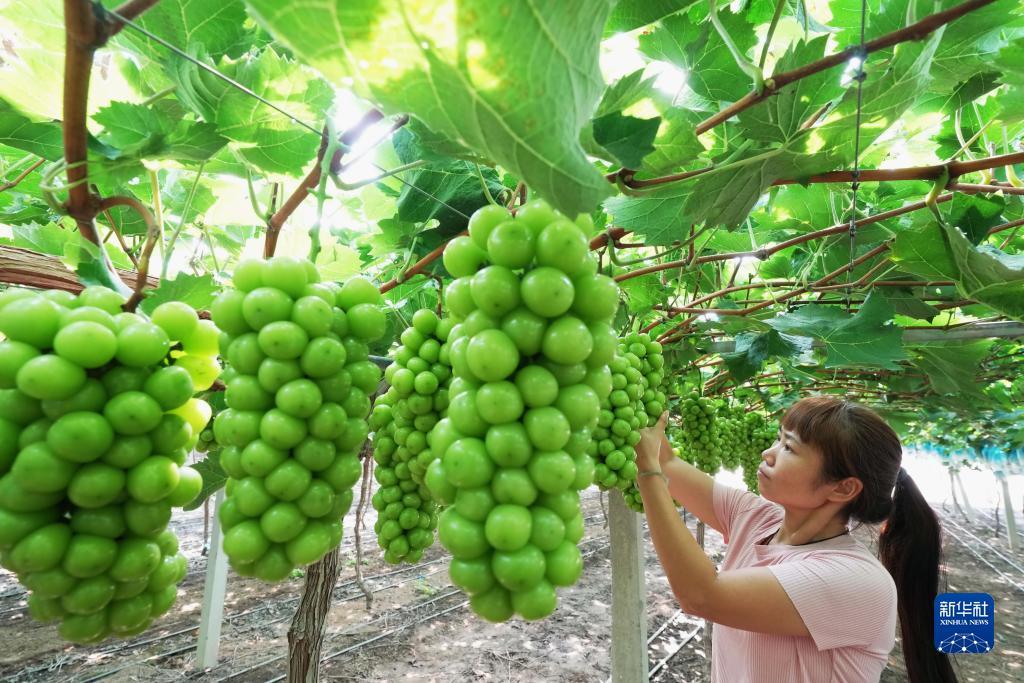 推旺铺怎样注册账户